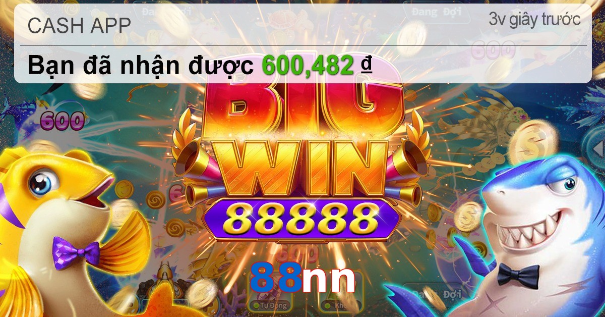 88nn